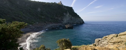 Calendario Manifestazioni 2026