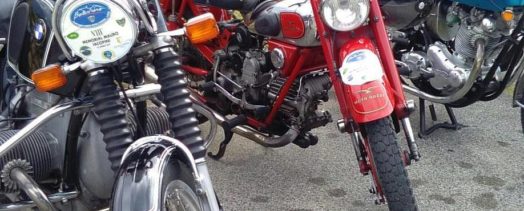 Calendario Manifestazioni 2026